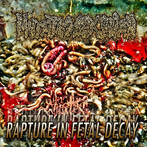 VA - Mutated Sex Organ - Rapture in Fetal Decay (2022) (MP3)