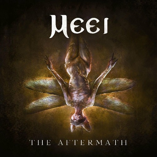 VA - Meei - The Aftermath (2022) (MP3)