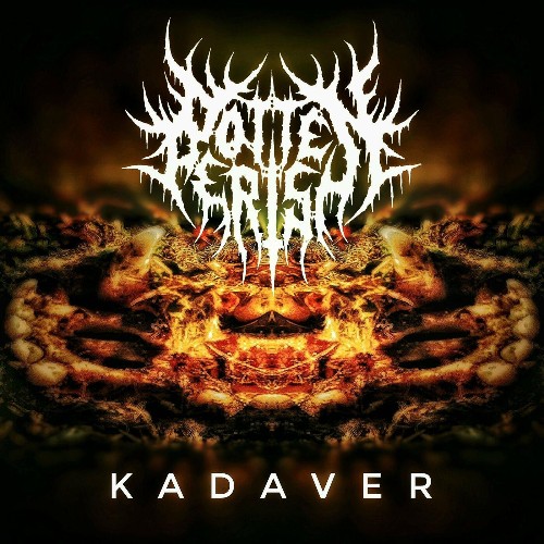 VA - RottenPerish - Kadaver (2022) (MP3)