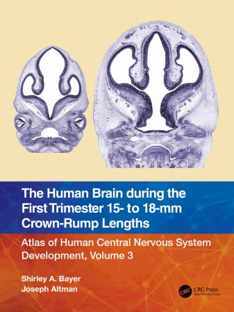 The Human Brain during the First Trimester 15  to 18 mm Crown Rump Lengths