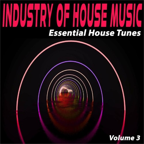 Industry of House Music, Vol. 3 (Essential House Tunes) (2022)