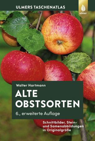 Alte Obstsorten: Schnittbilder, Stein  und Samenabbildungen in Originalgröße, 6. Auflage