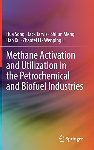 Methane Activation and Utilization in the Petrochemical and Biofuel Industries (True EPUB)