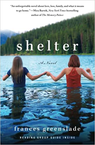 Shelter: A Novel