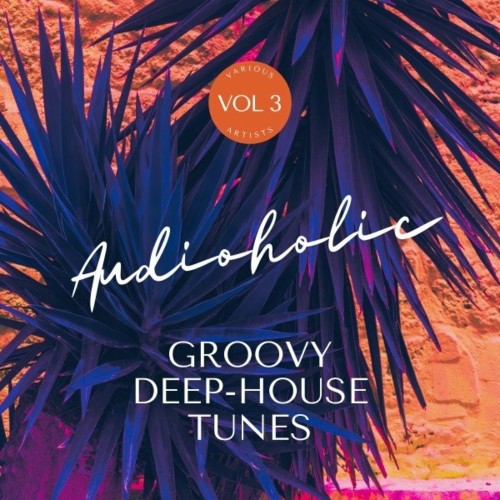 VA - Audioholic (Groovy Deep-House Tunes), Vol. 3 (2022) (MP3)