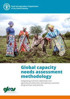 Global Capacity Needs Assessment Methodology