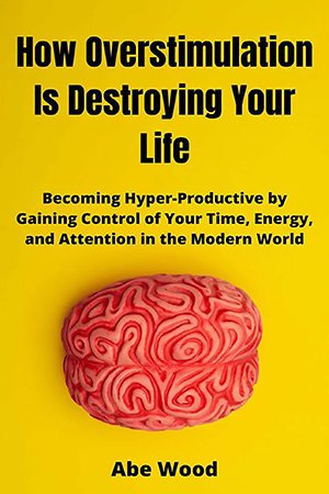 How Overstimulation Is Destroying Your Life: Becoming Hyper Productive by Gaining Control of Your Time, Energy, and Attention