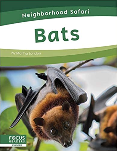 Bats (Neighborhood Safari)
