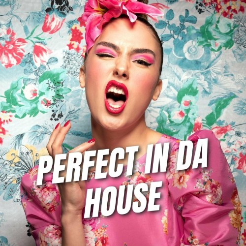 VA - Perfect in da House (2022) (MP3)