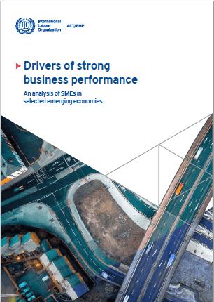 Drivers of Strong Business Performance : An Analysis of SMEs in Selected Emerging Economies