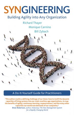 Syngineering: Building Agility into Any Organization: A Do It Yourself Guide for Practitioners