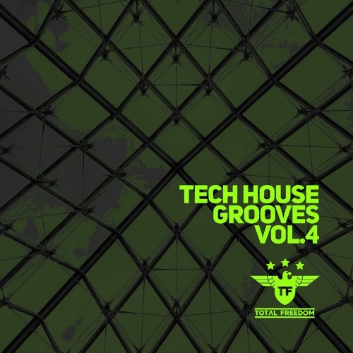 VA - Tech House Grooves Vol. 4 (2022) (MP3)