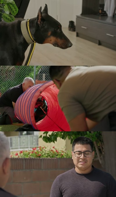 Cesar Millan Better Human Better Dog S02E11 720p HEVC x265-[MeGusta]