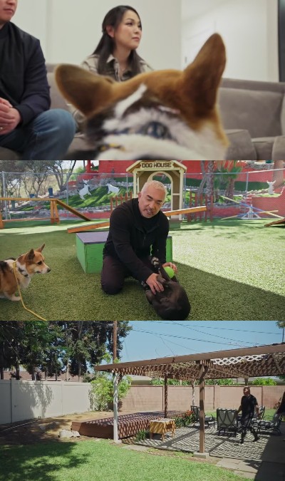 Cesar Millan Better Human Better Dog S02E04 720p HEVC x265-[MeGusta]