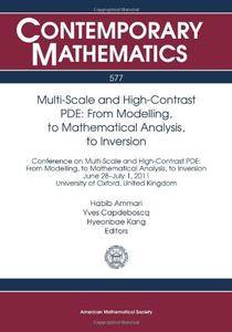 Multi Scale and High Contrast PDE