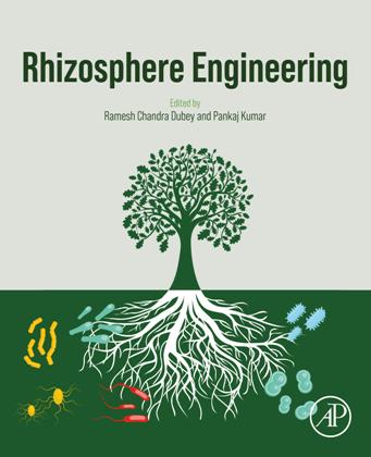 Rhizosphere Engineering by Ramesh Chandra Dubey, Pankaj Kumar
