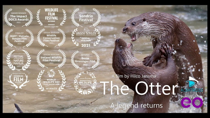 Wydra - powrót legendy / The Otter - a Legend Returns (2021) PL.1080i.HDTV.H264-B89 | POLSKI LEKTOR