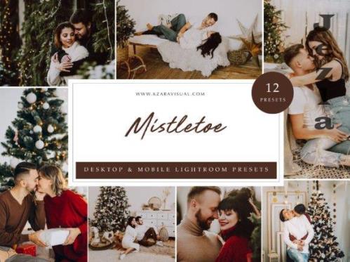 12 x Lightroom Presets, Mistletoe - 5962762