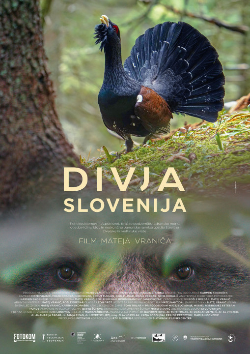 Dzika Słowenia / Divja Slovenija (2021) PL.1080i.HDTV.H264-B89 | POLSKI LEKTOR