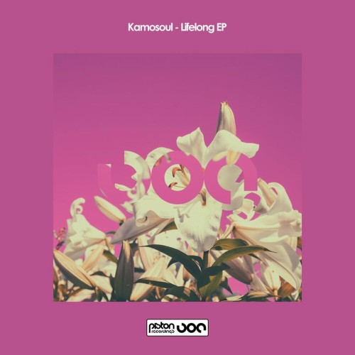 VA - Kamosoul - Lifelong EP (2022) (MP3)