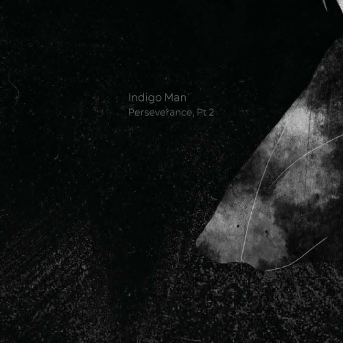 VA - Indigo Man - Perseverance, Pt. 2 (2022) (MP3)