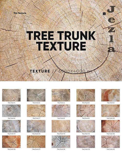 20 Tree Trunk Textures - 7805294