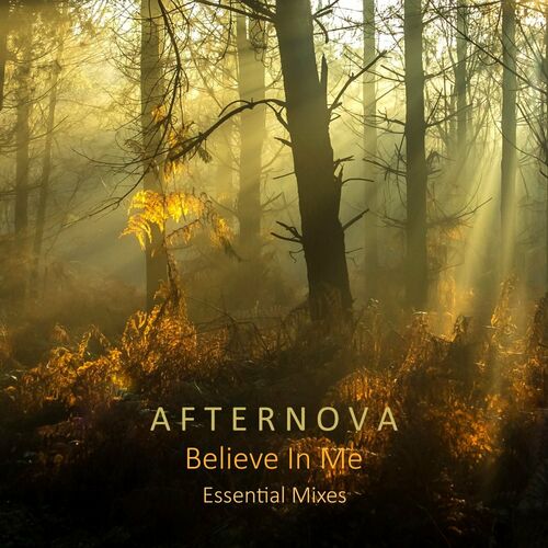 VA - Afternova - Believe In Me (Essential Mixes) (2022) (MP3)
