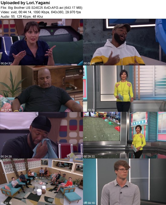 Big Brother US S24E25 XviD-[AFG]