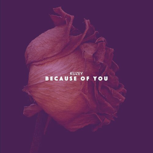 Kuzey - Because of You (2022)