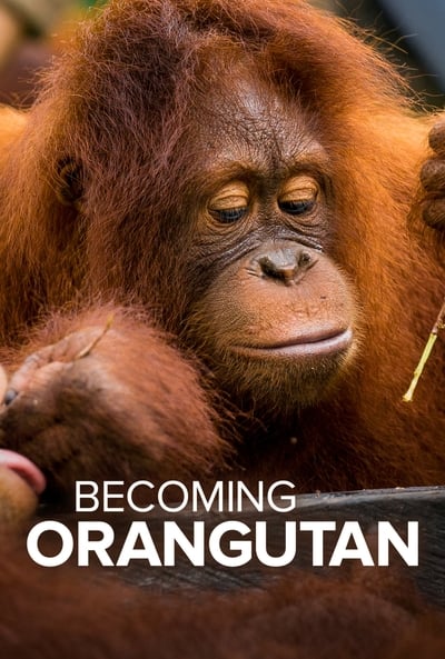 Becoming Orangutan S01E03 XviD-[AFG]