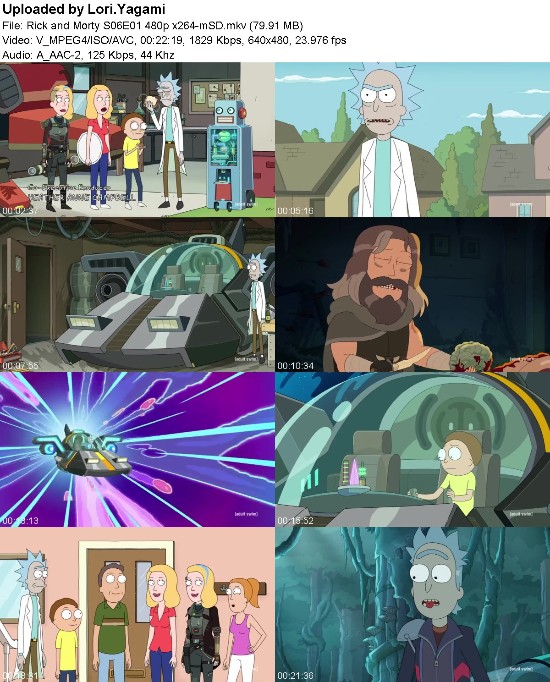 Rick and Morty S06E01 480p x264-[mSD]