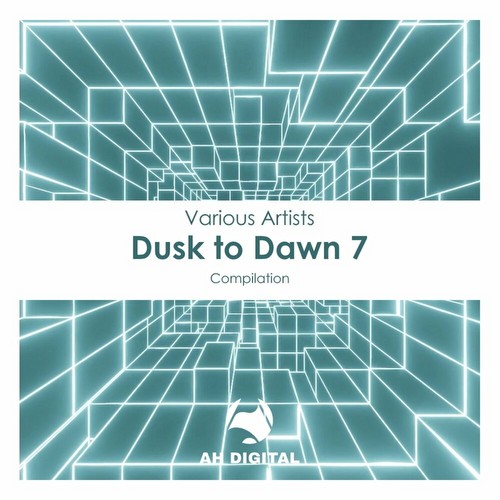 VA - Dusk To Dawn 7 (2022)