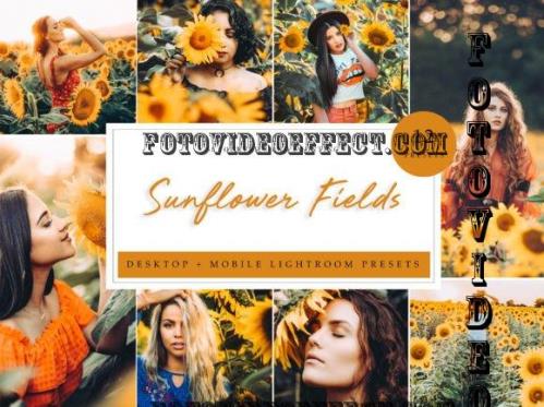 Lightroom Presets - Sunflower Fields
