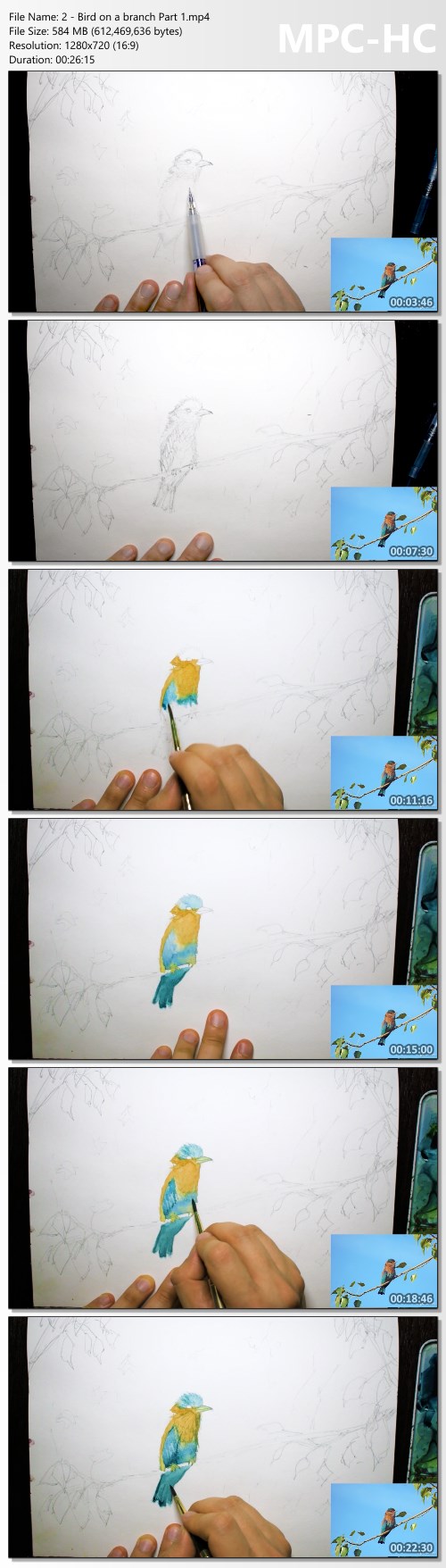Painting Birds In Watercolor: Ultimate Guide For Beginners by Watercolour Mentor