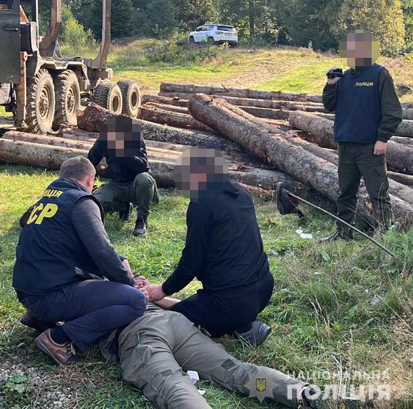 100 000 гривень за відпуск деревини в обхід офіційних процедур: на Прикарпатті затримали лісничого