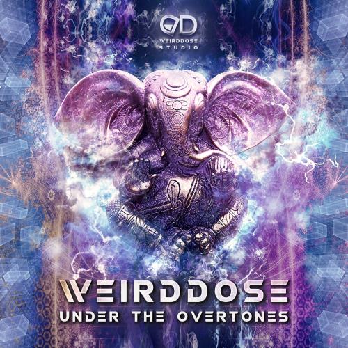 VA - Weirddose - Under The Overtones (2022) (MP3)