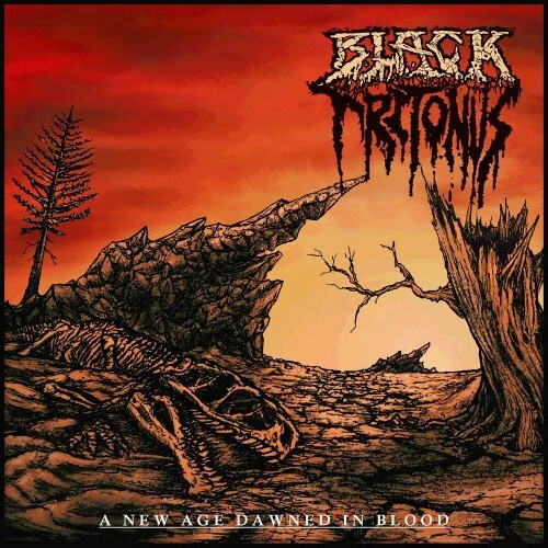 VA - Black Tritonus - A New Age Dawned in Blood (2022) (MP3)