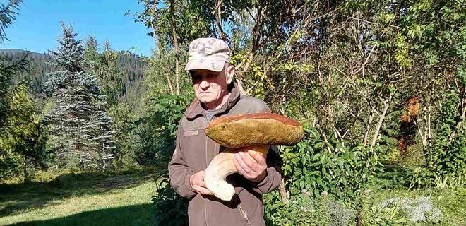В Карпатах нашли "гриб-гигант" весом три килограмма – фото