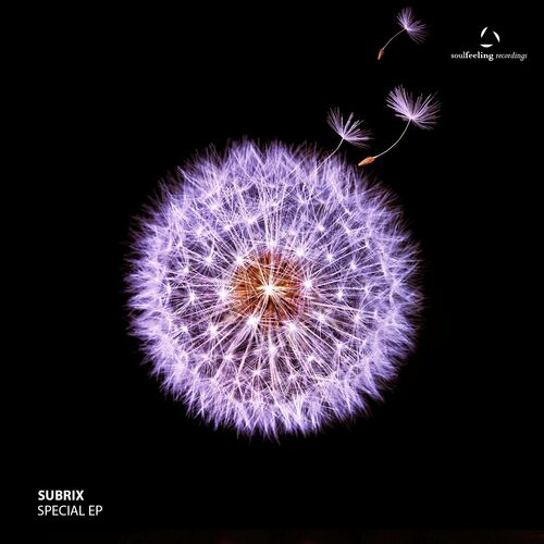 VA - Subrix - Special (2022) (MP3)