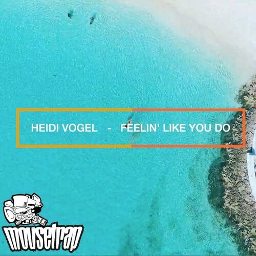 Heidi Vogel - Feeling Like You Do (2022)