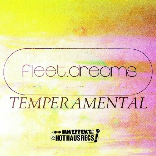 VA - fleet.dreams - Temperamental (2022) (MP3)