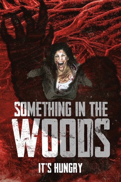 Something in the Woods (2022) WEBRip x264-ION10