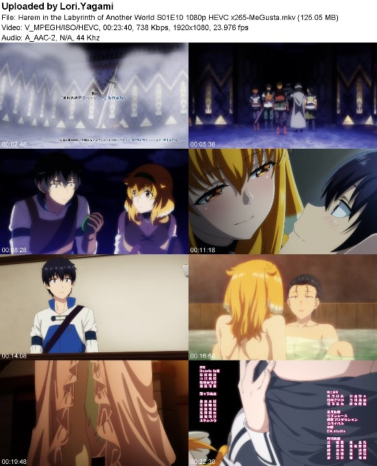 Harem in the Labyrinth of Another World S01E10 1080p HEVC x265-[MeGusta]
