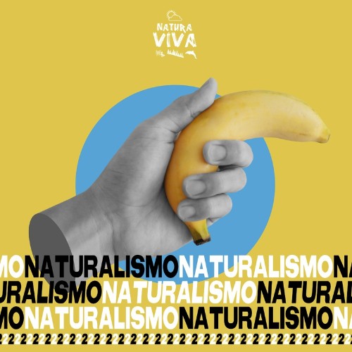 VA - Naturalismo 2 (2022) (MP3)