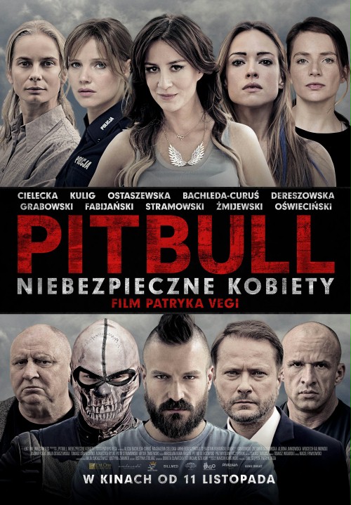 Pitbull: Niebezpieczne kobiety (2016) PL.720p.BDRiP.XviD.AC3-LTS ~ film polski