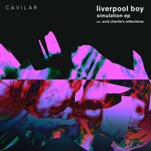 VA - Liverpool Boy - Simulation (2022) (MP3)