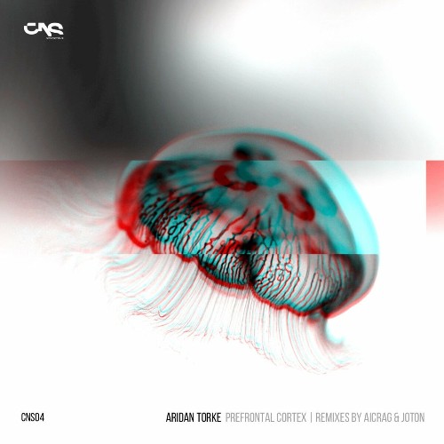 VA - Aridan Torke - Prefrontal_Cortex EP (2022) (MP3)