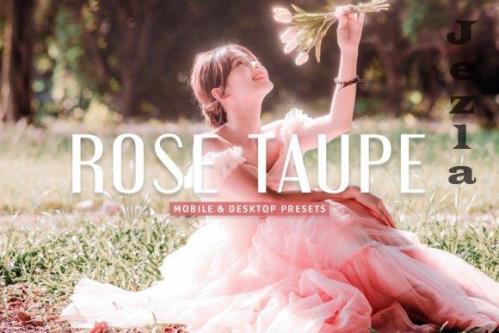 Rose Taupe Pro Lightroom Presets