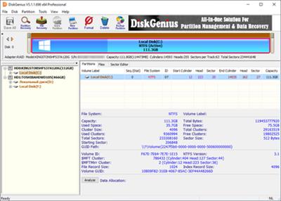 DiskGenius Professional 5.4.6.1432 Multilingual + Portable