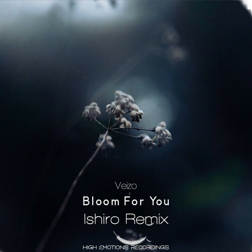 Veizo - Bloom for You Remixed (2022)